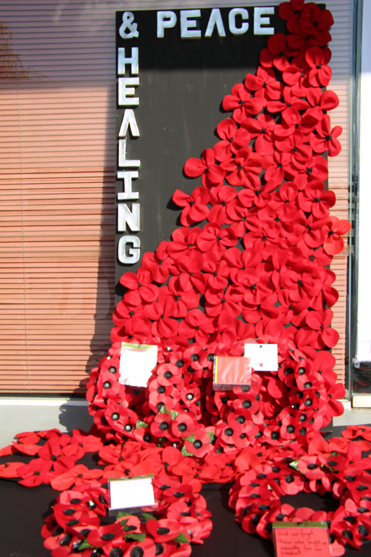 Remembrance Day Ceremony